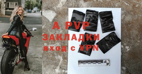 стаф Долгопрудный